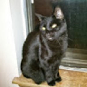 Meet your Posher, Sherri